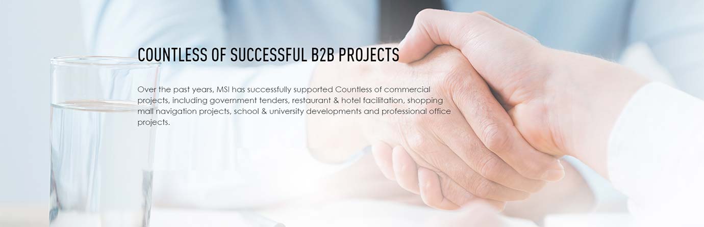 COUNTLESS OF SUCCESSFUL B2B PROJECTS